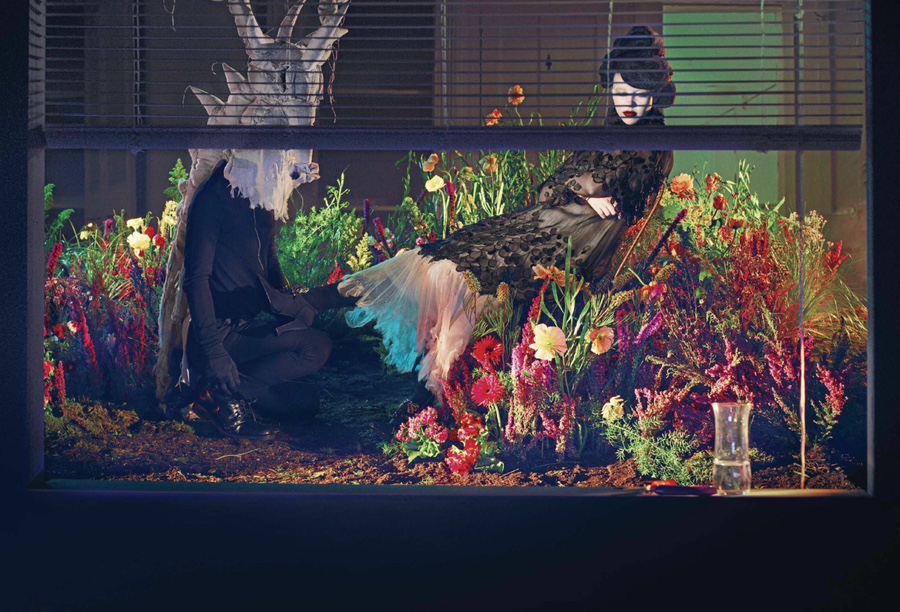 April Garden 이미지