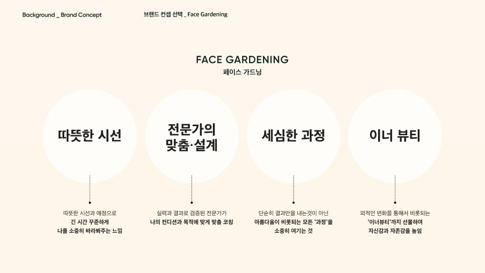 트로피컬라이언 이미지