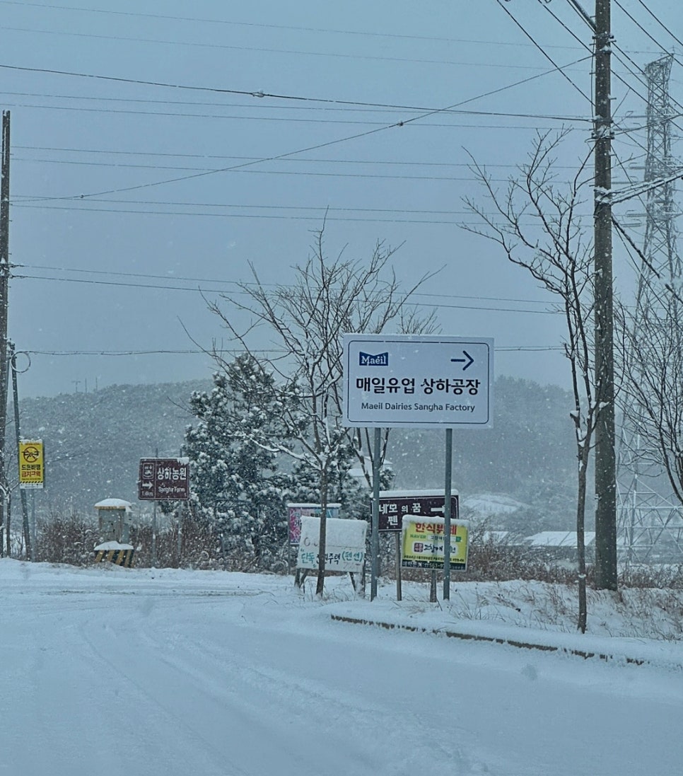 영광매일유업 이미지