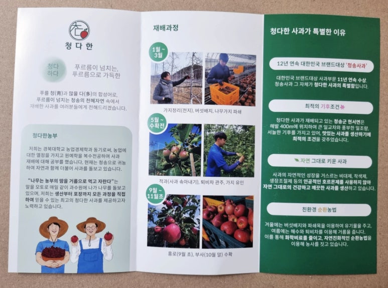 청다한 이미지