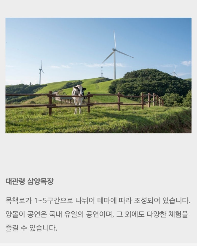 삼양여행사 이미지