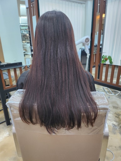 엘시크 이미지