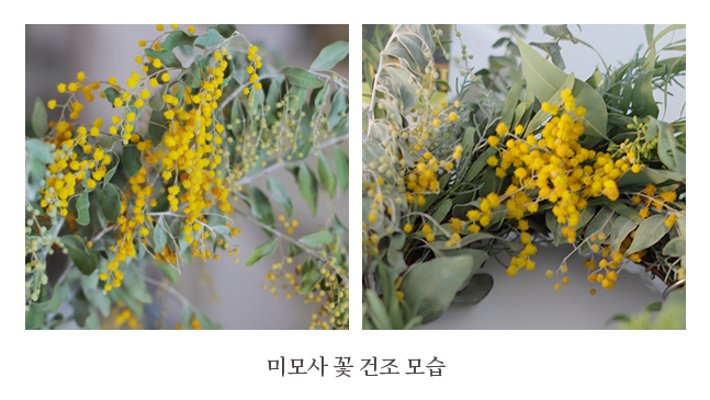 그린생화유통 이미지