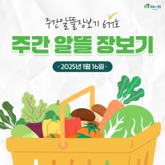 [주간알뜰장보기] 1월 3주차, 지난주보다 '쪽파, 딸기, 무'의 가격이 낮아졌어요!... 바로가기