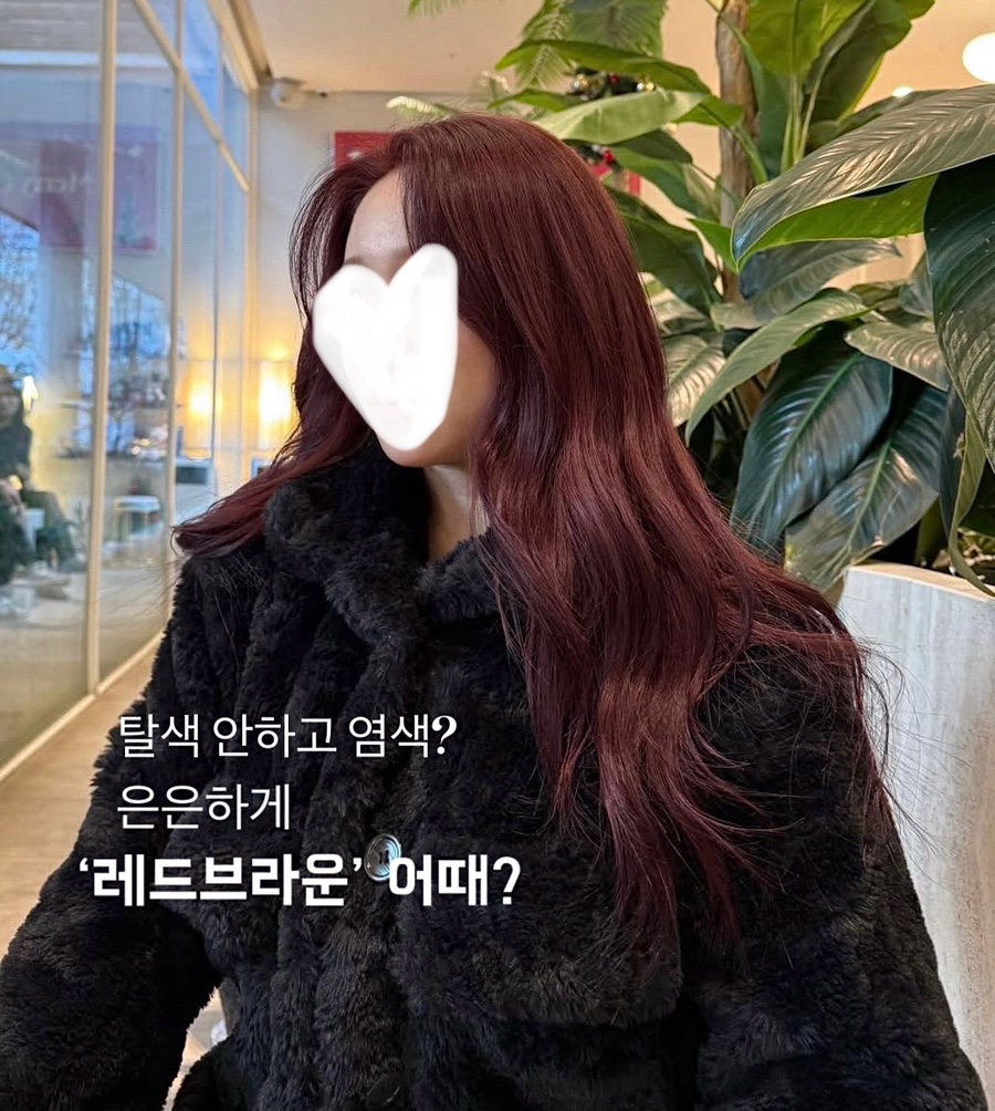 딥센느 이미지
