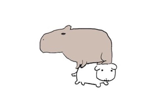 듀듀 이미지