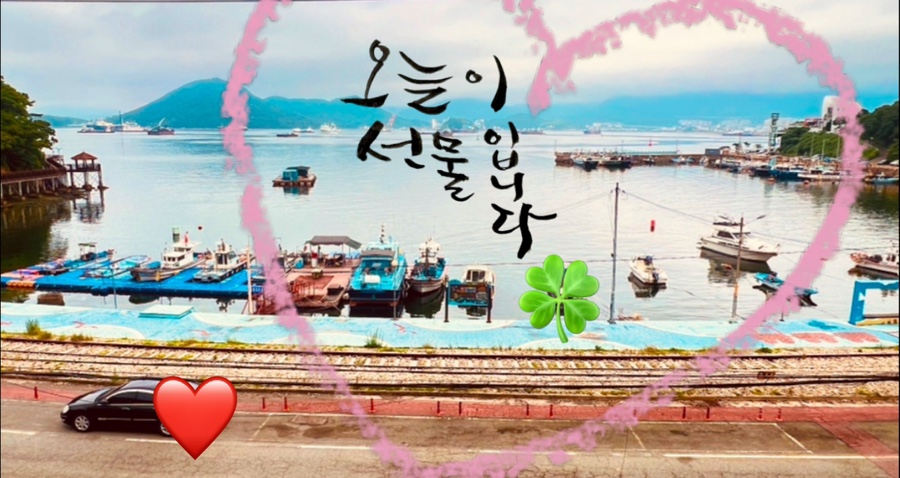 대섬횟집 이미지