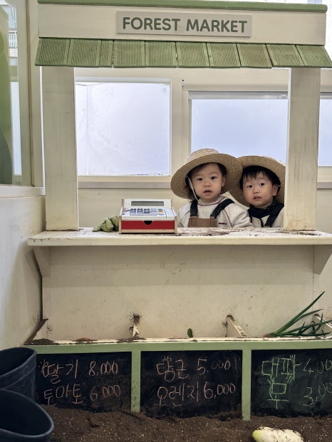 숲속모래성키즈카페노원 이미지