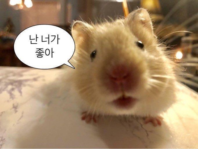 최배달떡순튀 이미지