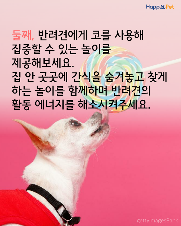 올어바웃펫 이미지