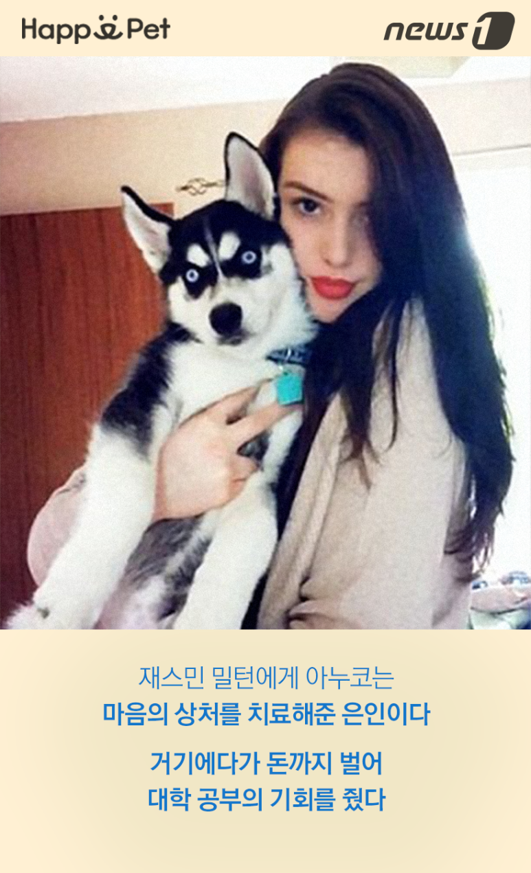 스타견 이미지