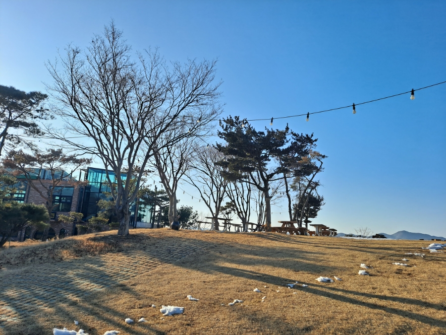 다온숲노을캠핑정원 이미지