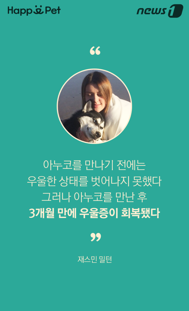 스타견 이미지
