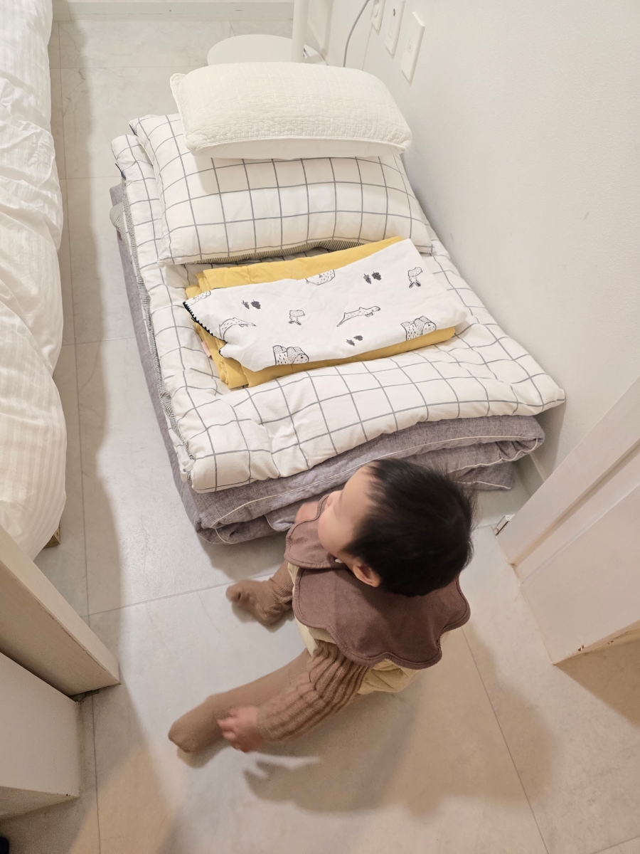 선연채 이미지