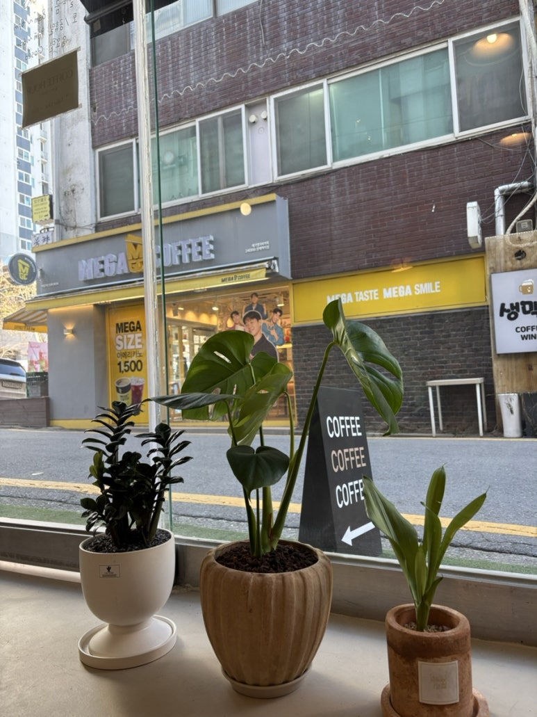 쥴스커피하우스 이미지