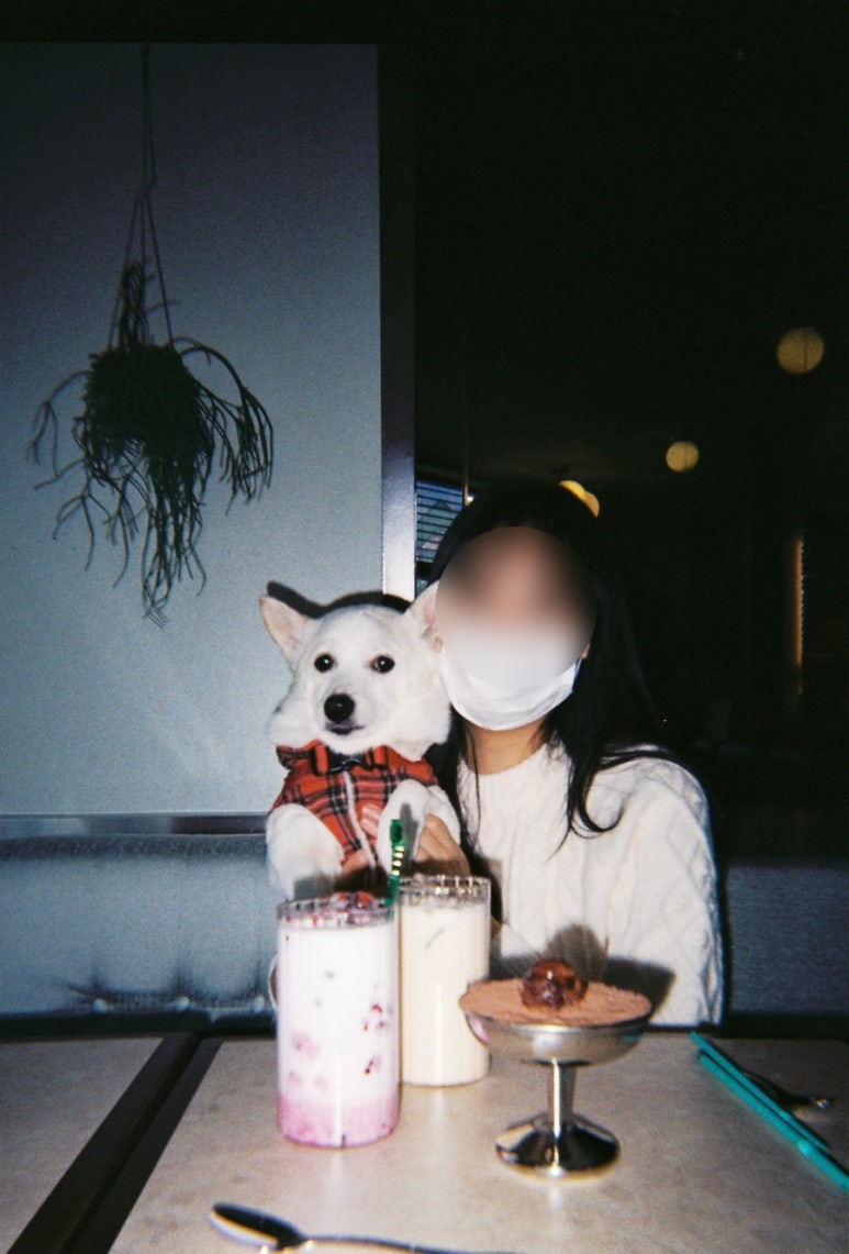 행운다방 이미지