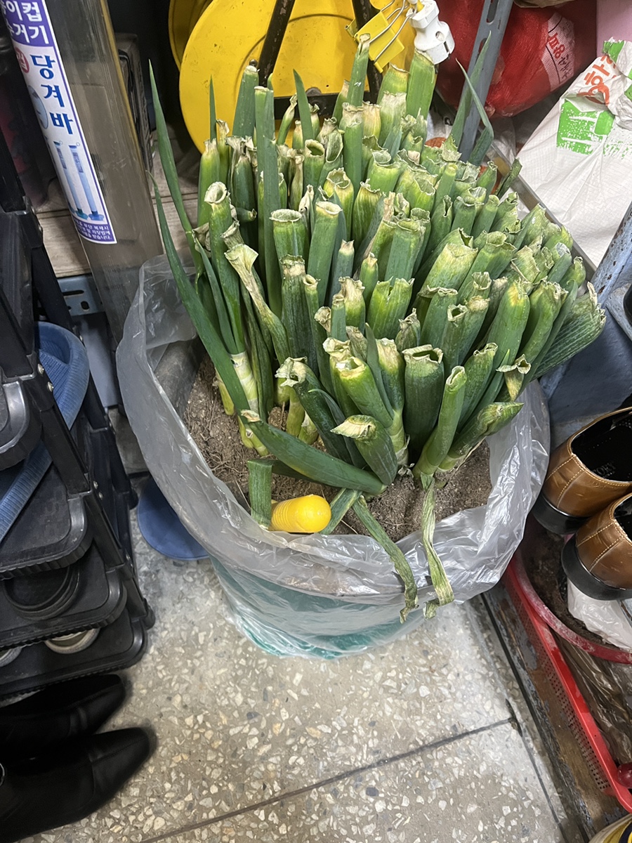 동원소금구이 이미지