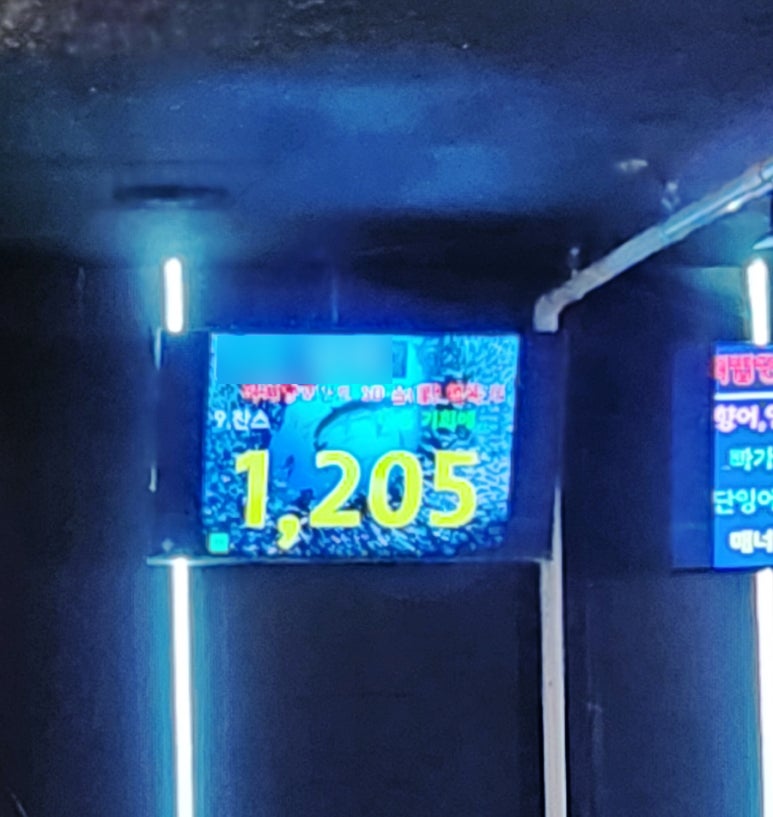 또또와실내낚시터 이미지