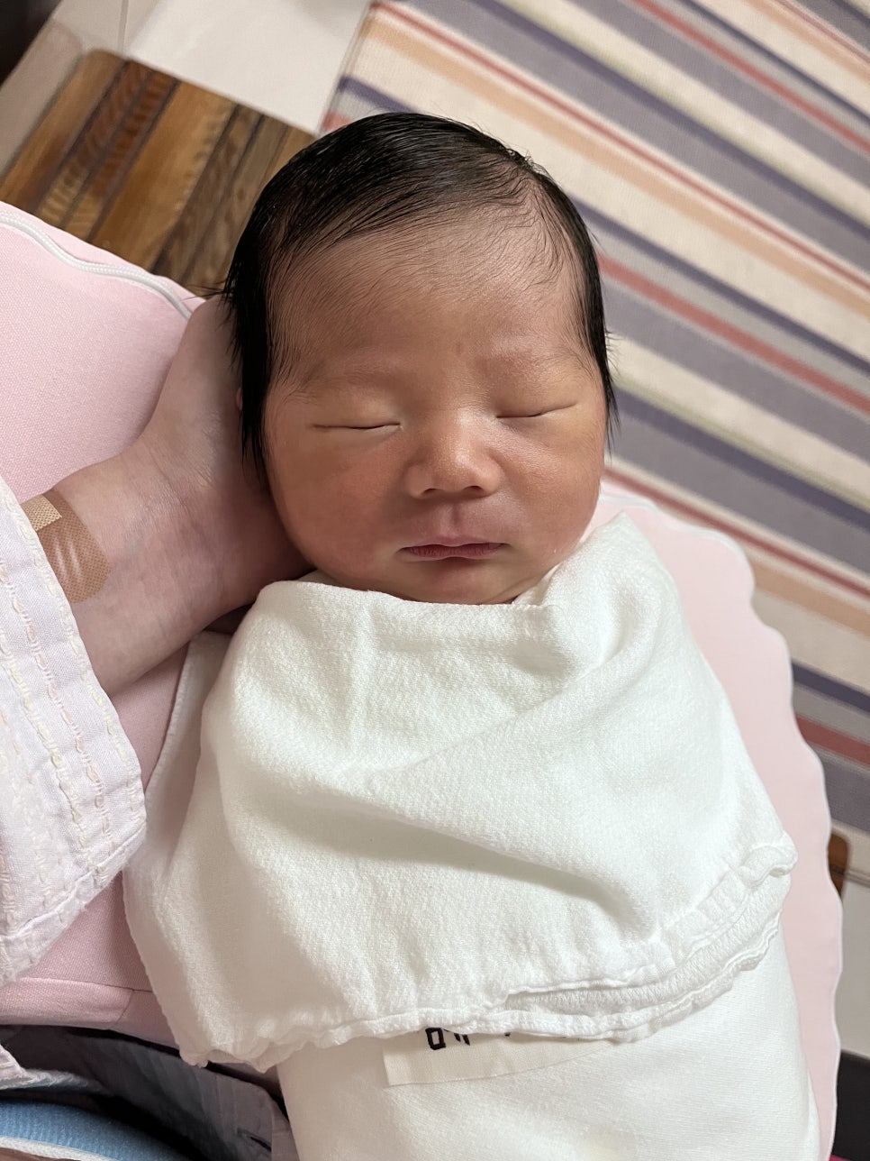 유델라 이미지