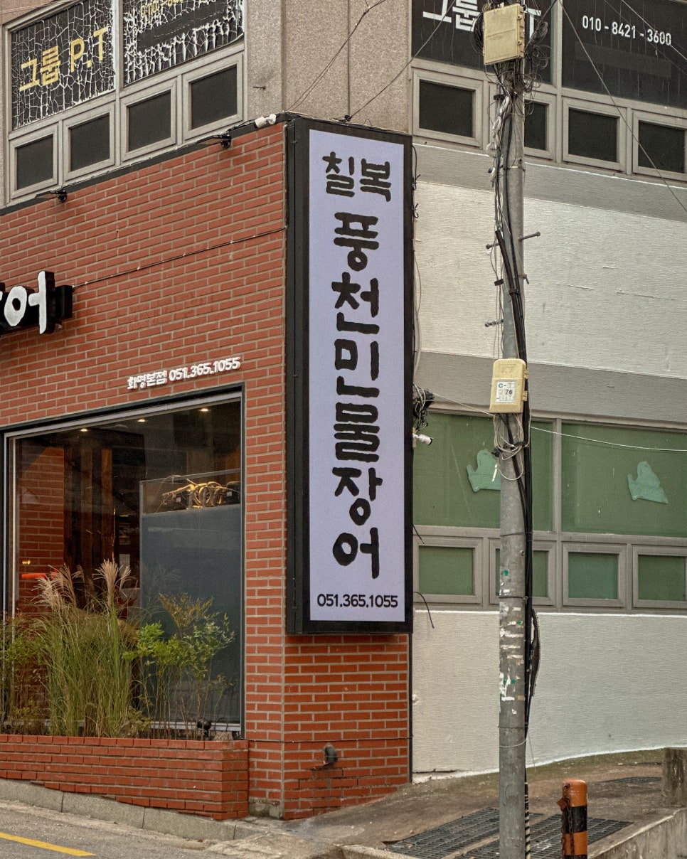 칠복장어 이미지