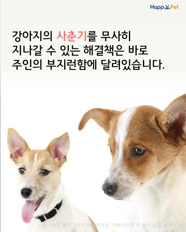 올어바웃펫 이미지