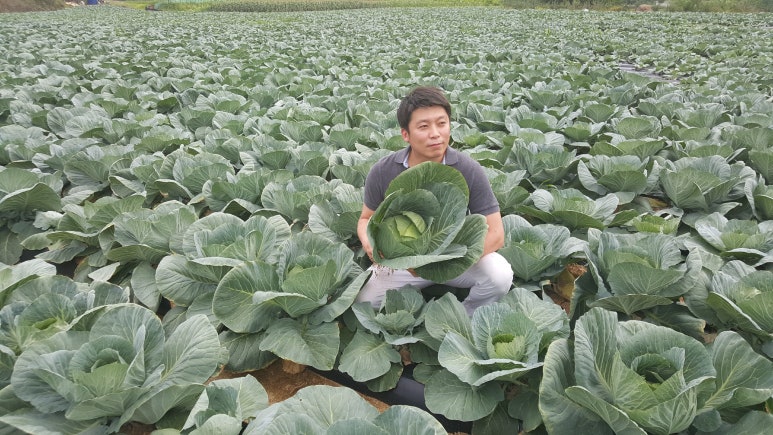 법인깊은산골 이미지