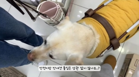 다이소경북 이미지