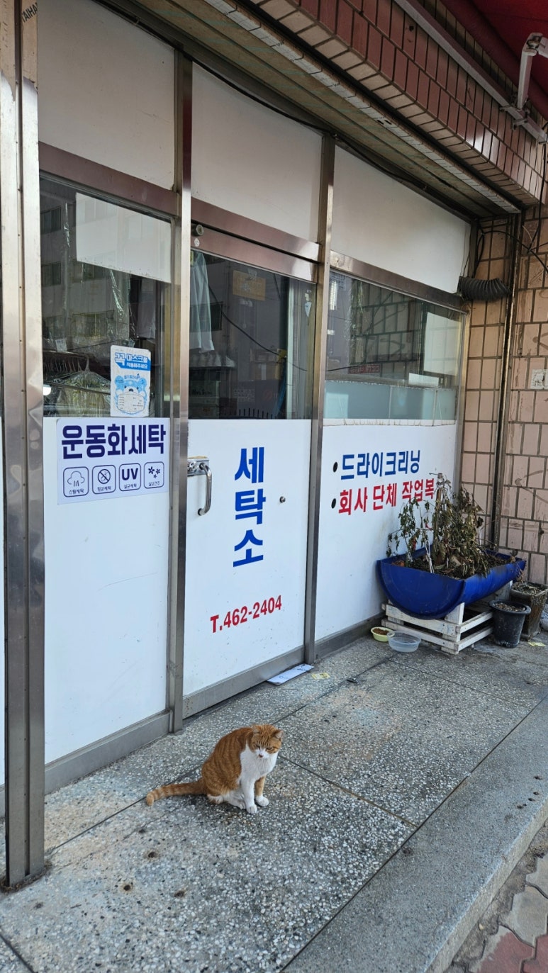 월풀세탁소 이미지