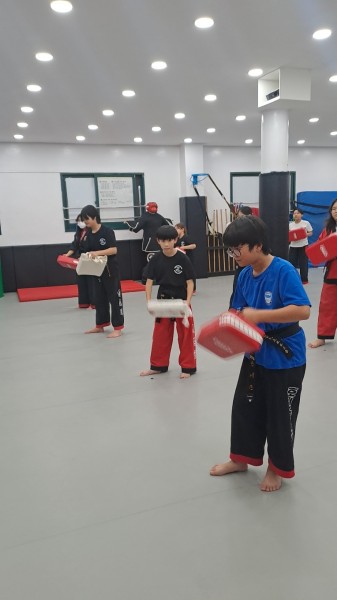한국아르니스협회 이미지