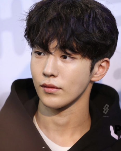 벨리티 이미지