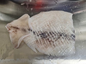 대운수산 이미지
