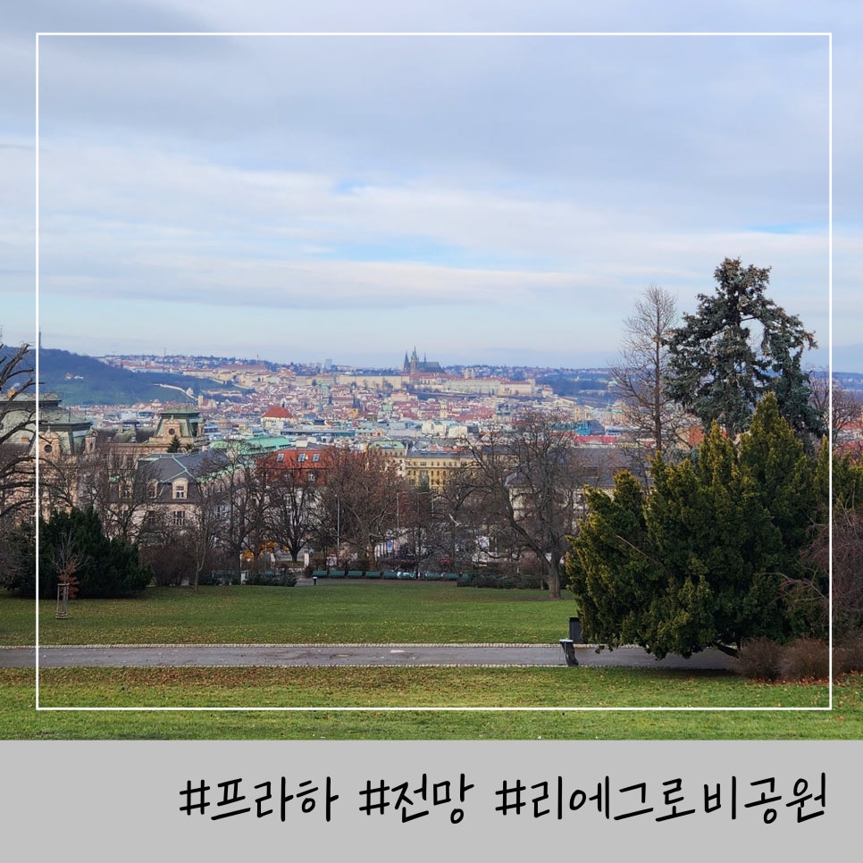 그로뷰 이미지