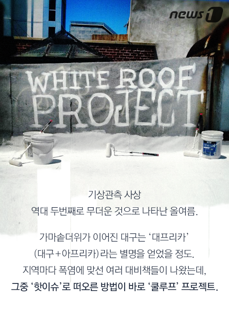 하얀지붕 이미지