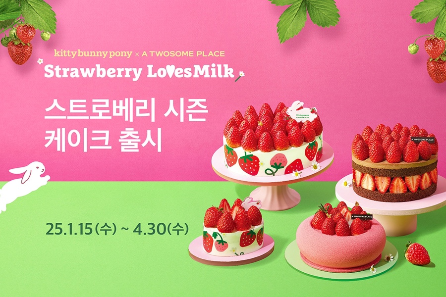 케이크시즌 이미지