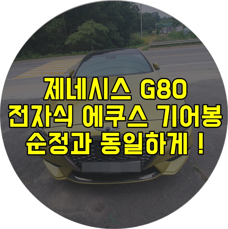 동일스포츠 이미지