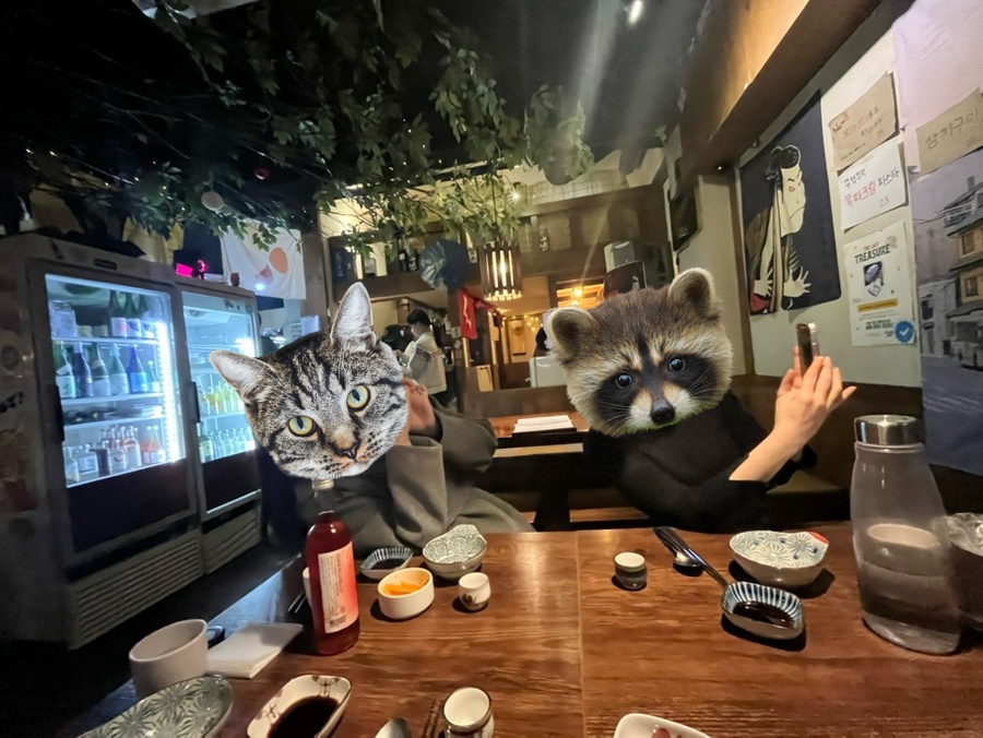 아쿠슈 이미지