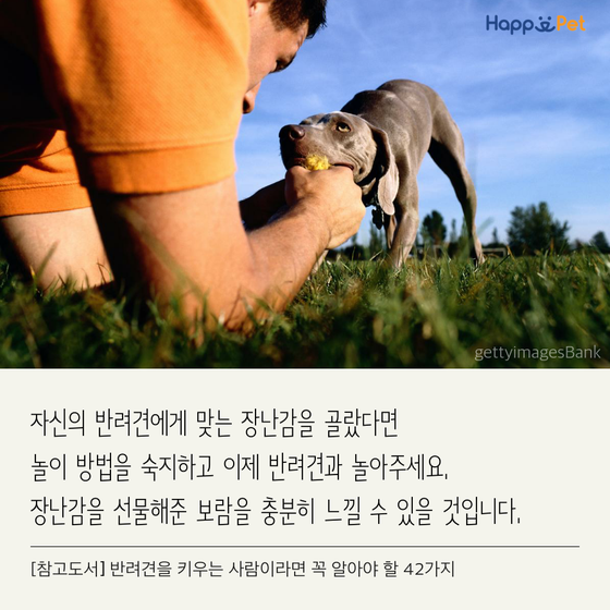 올어바웃펫 이미지