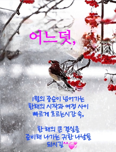 바른생활건강 이미지