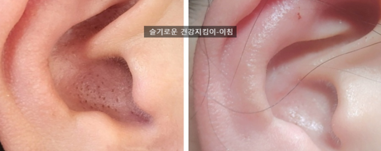 국제이현협회 이미지