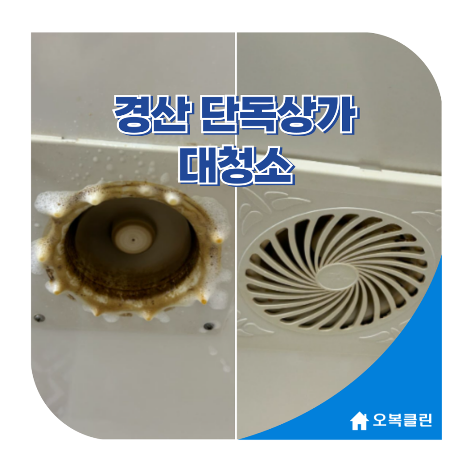 오복클린 이미지