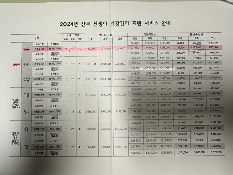 금줄베이비시터코리아 이미지