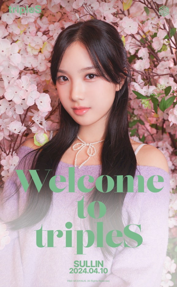 타이에스 이미지