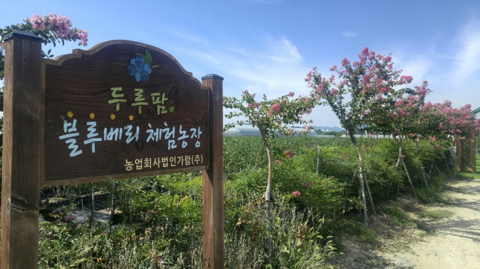 모아베리교육농장 이미지
