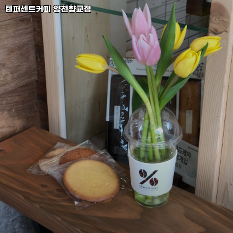 텐퍼센트커피양천향교점 이미지