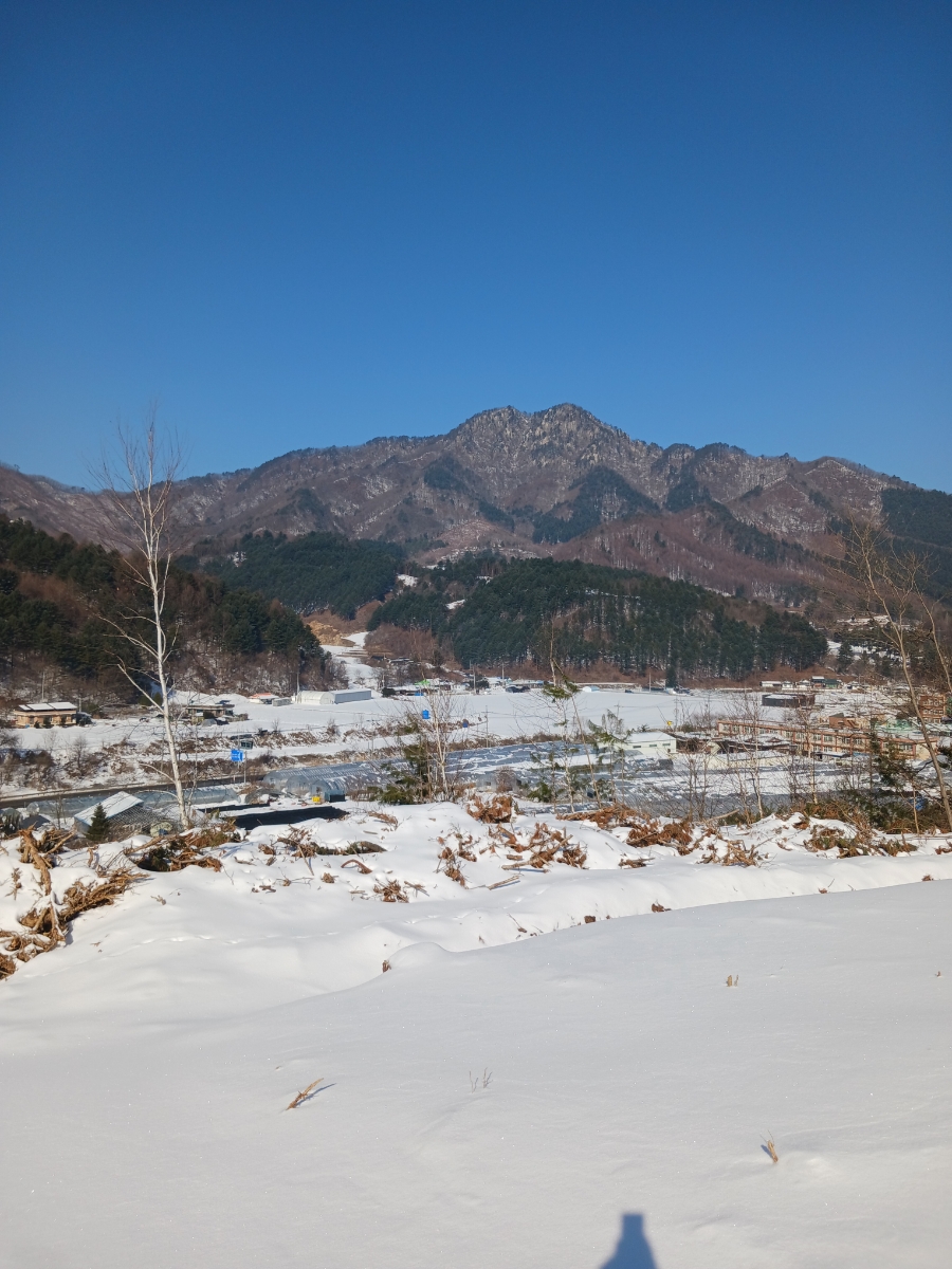 석화산농장 이미지