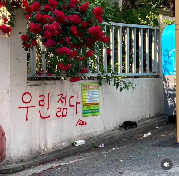소리소문 이미지