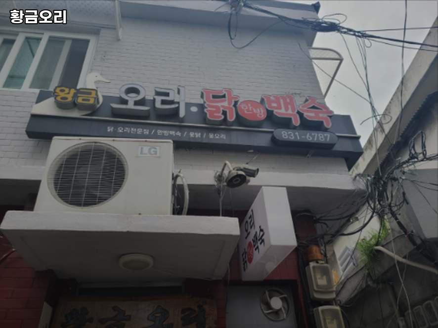 황금오리 대표 사진