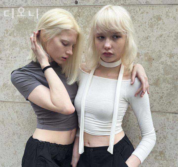디오니 이미지
