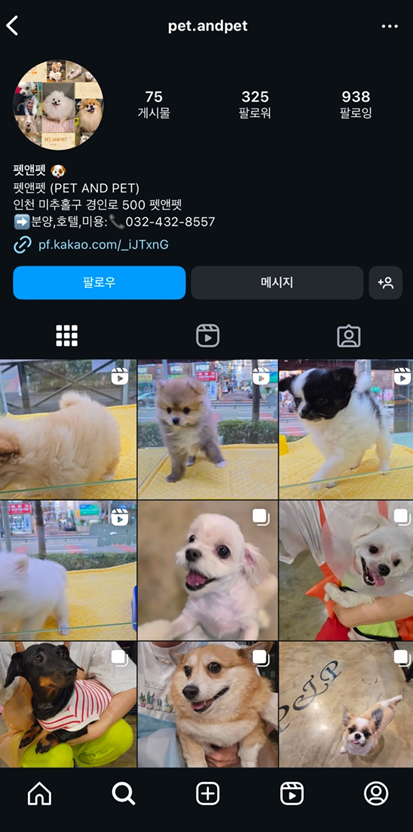 여기펫 이미지