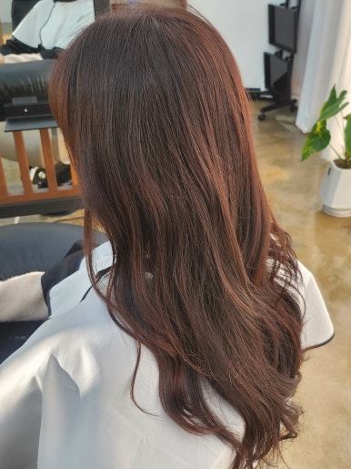 엘시크 이미지